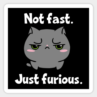 Not Fast Just Furious Cat Magnet